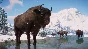 Planet Zoo: Eurasia Animal Pack Steam Key Global DLC