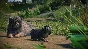 Planet Zoo: Zookeepers Animal Pack Steam Ключ РФ+Мир