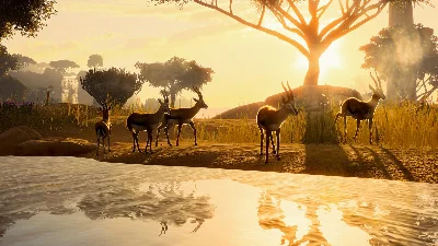 Planet Zoo: Deluxe Upgrade Pack Steam Key Global DLC