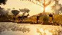 Planet Zoo: Deluxe Upgrade Pack Steam Key Global DLC