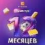 Mybook Premium Subscription - 12 months