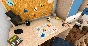 House Flipper 2 - Supporter Pack 💎 DLC STEAM РОССИЯ
