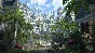 The Elder Scrolls Online: 2025 Content Pass Xbox Any #
