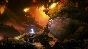 Ori and the Will of the Wisps (Steam key/RU+CIS)
