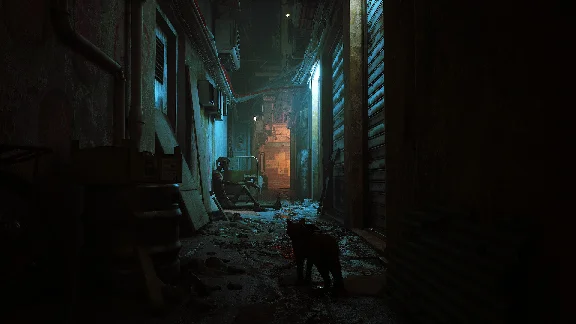 STRAY 💎 АВТОДОСТАВКА STEAM РОССИЯ