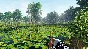 ⭐ The Fisherman - Fishing Planet EU Steam Key 🔑EUROPE