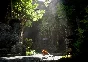 Spirit of the North 2 | Xbox Series X|S Ключ/Код