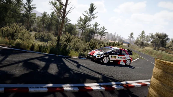 WRC 10 FIA World Rally Championship / Deluxe STEAM КЛЮЧ