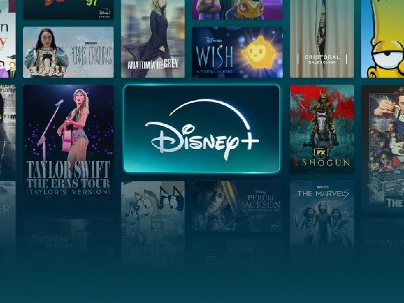 【Disney PLUS】Account - 12 MONTHS - WARRANTY
