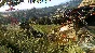 🔑 DYING LIGHT: ENHANCED EDITION 🔥 XBOX  KEY