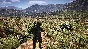 Tom Clancy’s Ghost Recon® Wildlands | PS4/PS5 | TURKEY