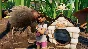 🟢🔥GROUNDED XBOX X|S/ONE + ПК