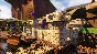 🟢🔥GROUNDED XBOX X|S/ONE + ПК