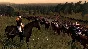 Total War Napoleon Definitive Edition +11 DLC Steam Key