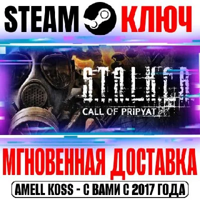 S.T.A.L.K.E.R.: Зов Припяти Steam Ключ +Бонус