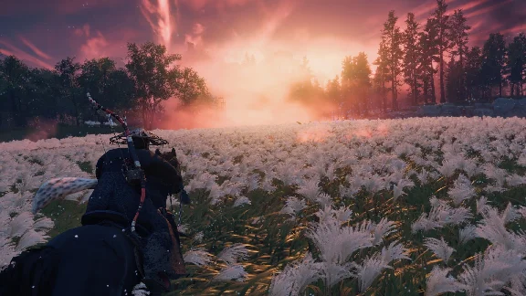 Ghost of Tsushima DIRECTOR’S CUT | PS4/PS5 | ТУРЦИЯ