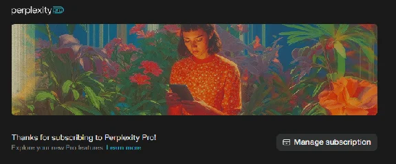 Perplexity Pro | 1 год Индивидуальный | Быстро