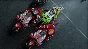 ✅ MotoGP™25 - Xbox Series X|S activation
