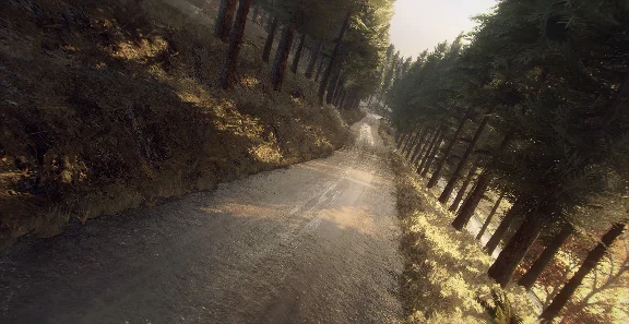 DiRT Rally 2.0 - Colin McRae: FLAT OUT Pack DLC STEAM