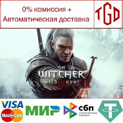 🔥 The Witcher 3: Wild Hunt | Steam Russia 🔥