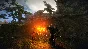 The Witcher 2: Assassins of Kings Enhanced Ed.(GOG)