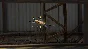 🚀 Drone Simulator VR 🤖 Steam Gift RU + other ⚡ AUTO