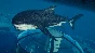 Jurassic World Evolution 2: Park Managers´ Pack Steam