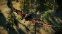 Jurassic World Evolution 2 Feathered Species Pack Steam