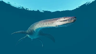 Jurassic World Evolution 2 Deluxe Upgrade Pack Key DLC