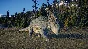 Jurassic World Evolution 2: Deluxe Upgrade Pack Steam
