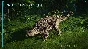 Jurassic World Evolution Deluxe Dinosaur Pack Steam Key
