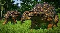 Jurassic World Evolution: Claire´s Sanctuary Steam Ключ