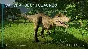 Jurassic World Evolution: Cretaceous Dinosaur Pack DLC