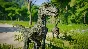 Jurassic World Evolution: Raptor Squad Skin Collection