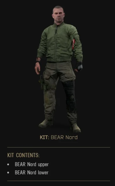 🔑 CD Key Apparel Kit: BEAR Nord RU/CIS 🔑