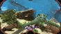 Subnautica XBOX и ПК Ключ