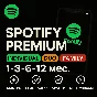 SPOTIFY PREMIUM 1–12 МЕСЯЦЕВ | РАБОТАЕТ ПО ВСЕМУ МИРУ