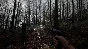 (Весь Мир) Hell Let Loose Steam Ключ +Бонус