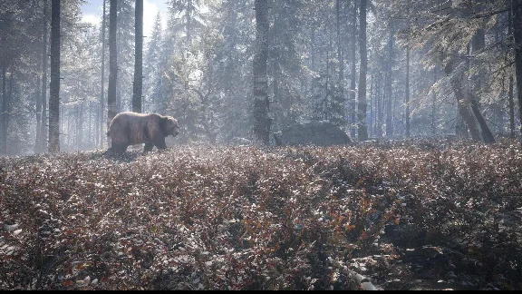 theHunter™: Call of the Wild - Medved-Taiga XBOX Key 🔑