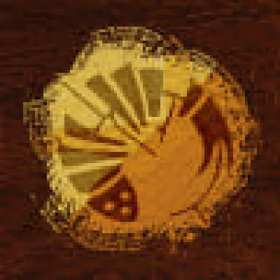 ✅ Destiny 2 ✅ Trigonic Amber Emblem ✅