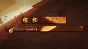 ✅ Destiny 2 ✅ Trigonic Amber Emblem ✅