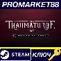 ⭐ The Thaumaturge Deluxe Edition EU PC Steam Key 🔑EURO