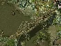 ⭐ Commandos Pack RU Steam Key 🔑 RUSSIA