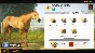 ⭐ Rival Stars Horse Racing: Desktop Edition PC Steam Ke