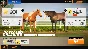 ⭐ Rival Stars Horse Racing: Desktop Edition PC Steam Ke