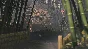 KUNITSU-GAMI: PATH OF THE GODDESS XBOX + PC (WIN) KEY/C