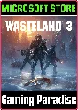 WASTELAND 3 (PC) PC (WIN) KEY/CODE