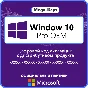 Windows 10 Pro🔑 OEM Warranty/Microsoft Partner✅