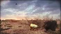 ⭐ Steel Division: Normandy 44 - Second Wave DLC EU Stea