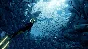 🔅ABZU XBOX ONE/SERIES🔑Key